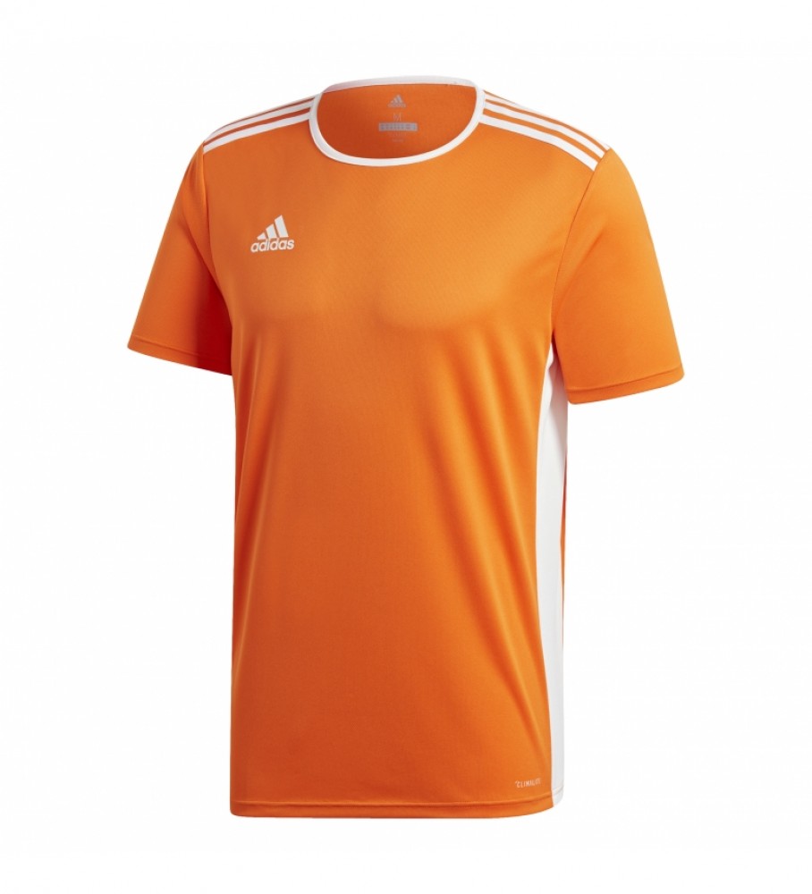 adidas T-shirt Entrada 18 JSY laranja