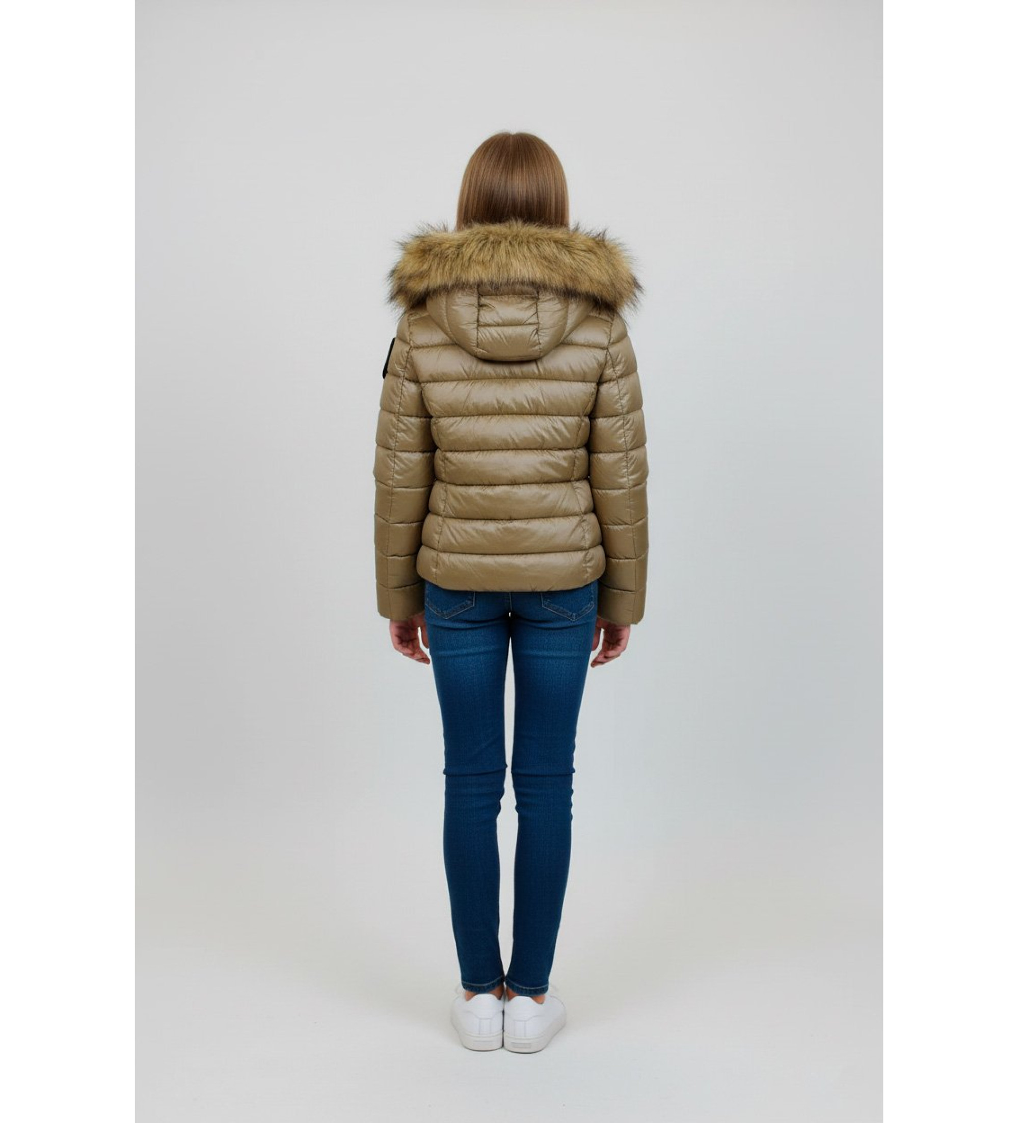 Blauer Ivoor goudbruine vacht Blauer Ivoor goudbruine vacht