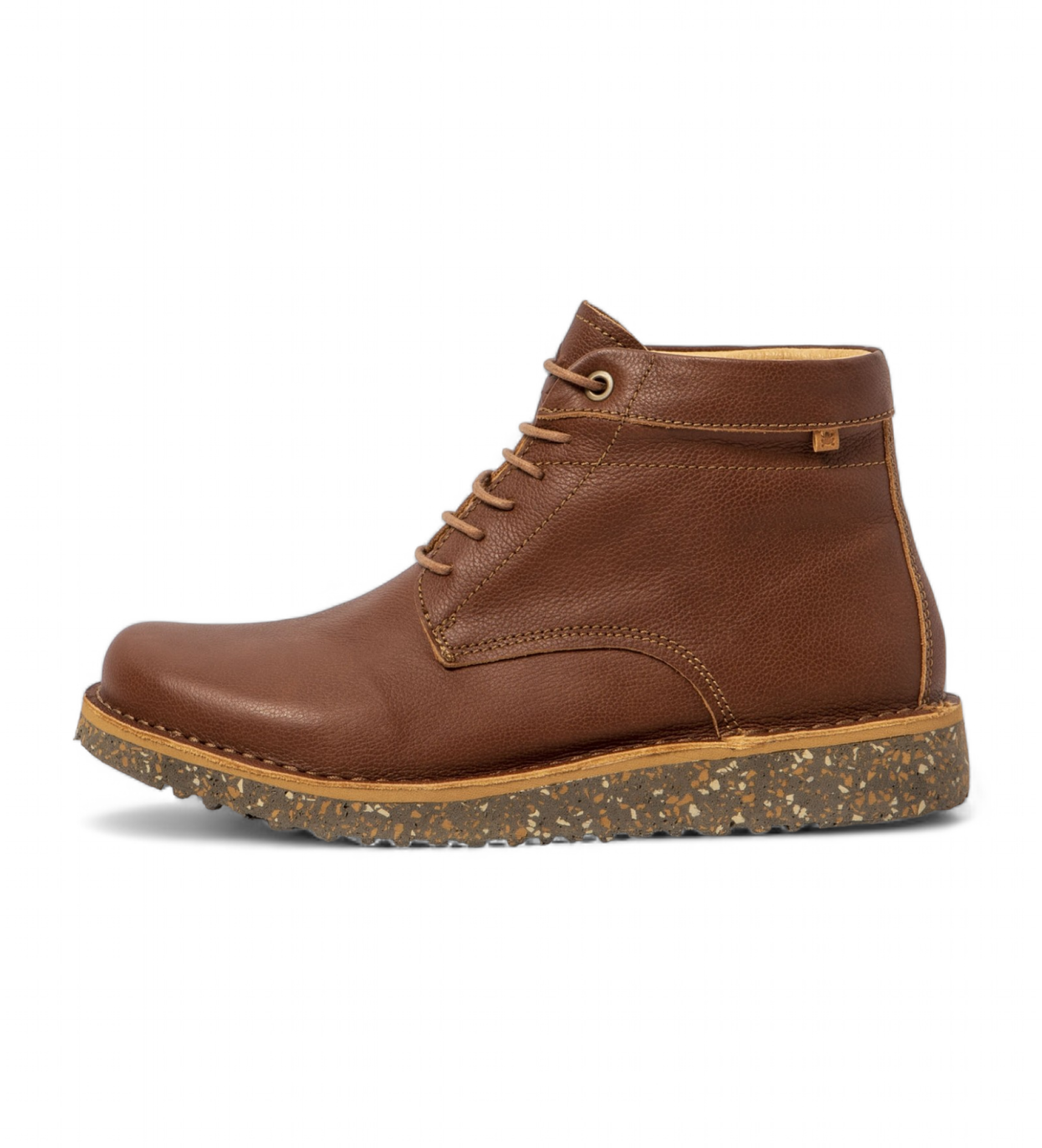 El Naturalista Brune ankelstvler i lder N5634