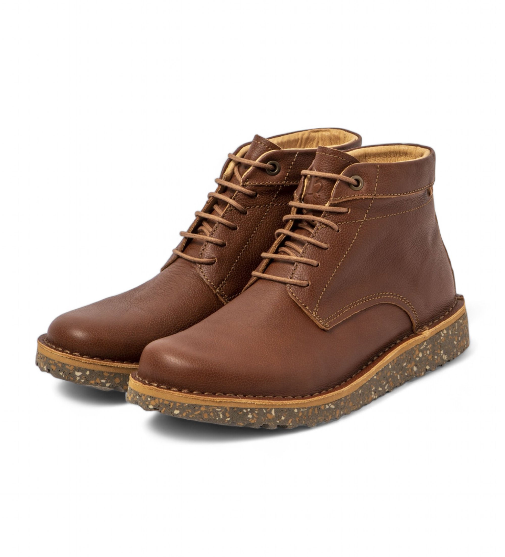 El Naturalista Brune ankelstvler i lder N5634