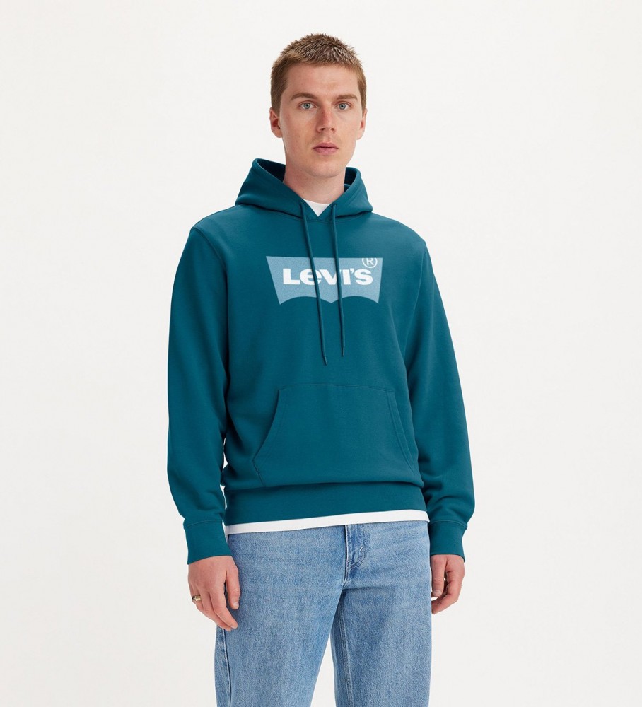 Levi's Graphic Hooded Sweatshirt Standard blue