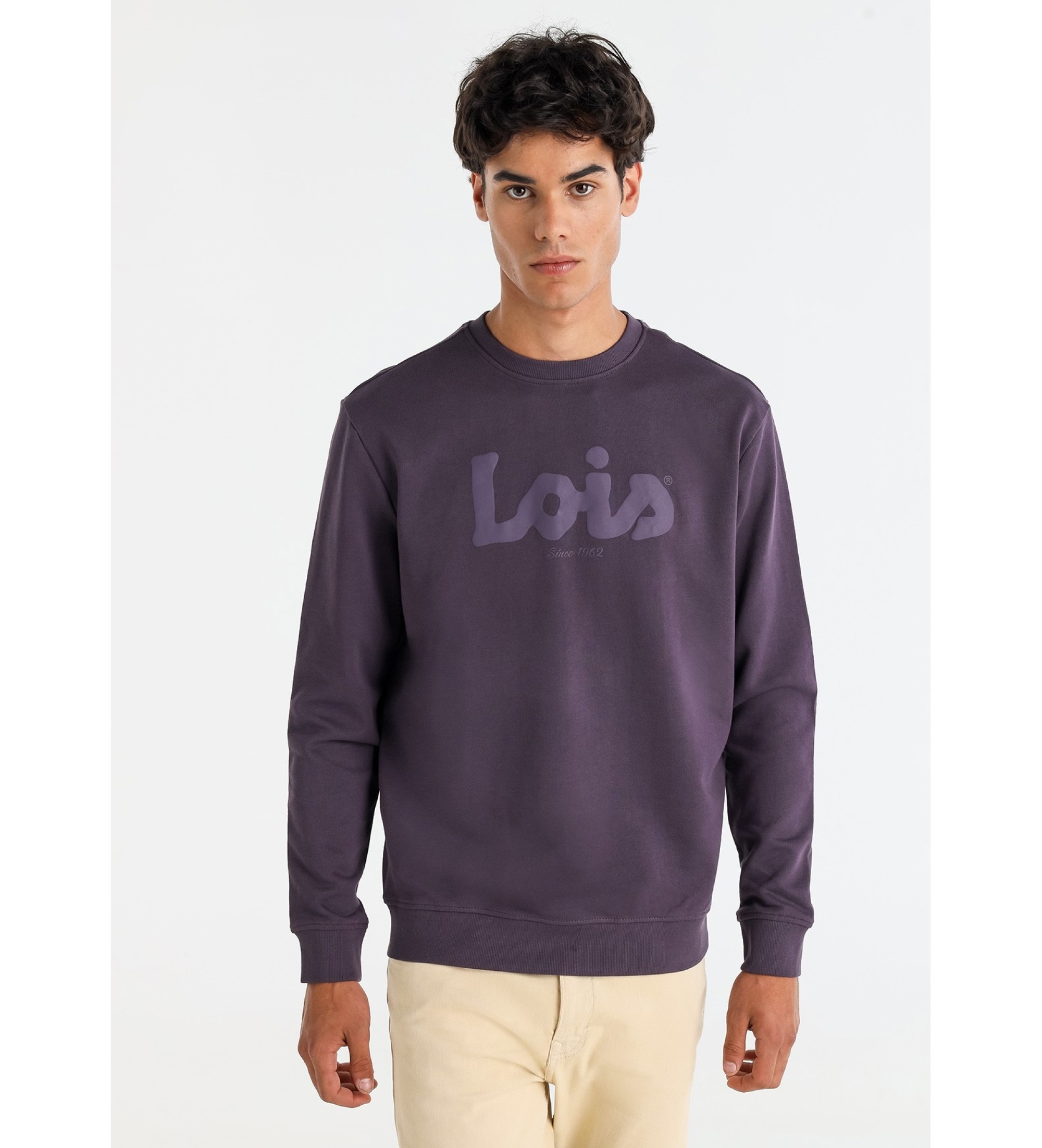 Lois Jeans Camisola básica com logótipo estampado lilás
