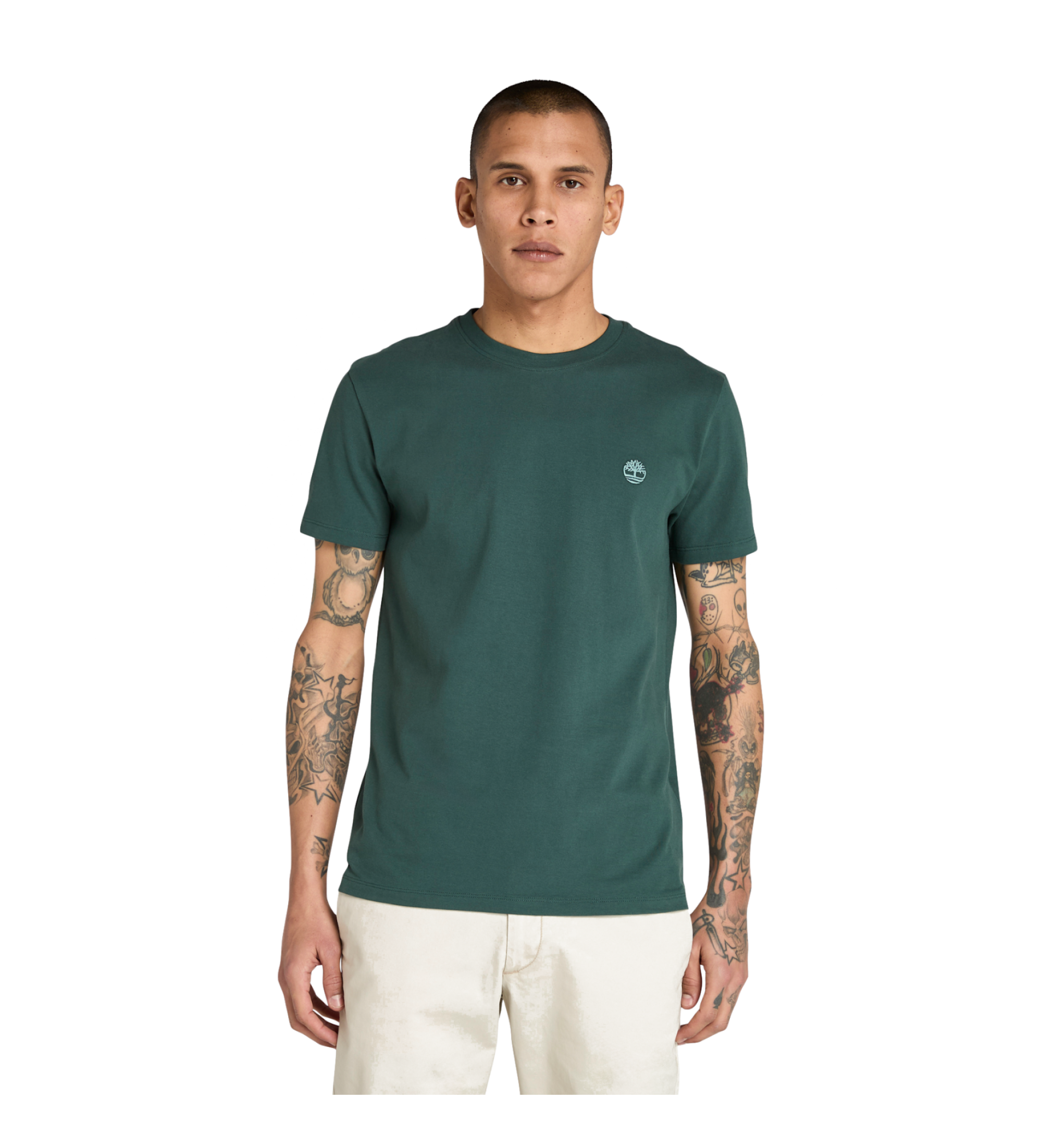 Timberland T-shirt Dunstan River vert