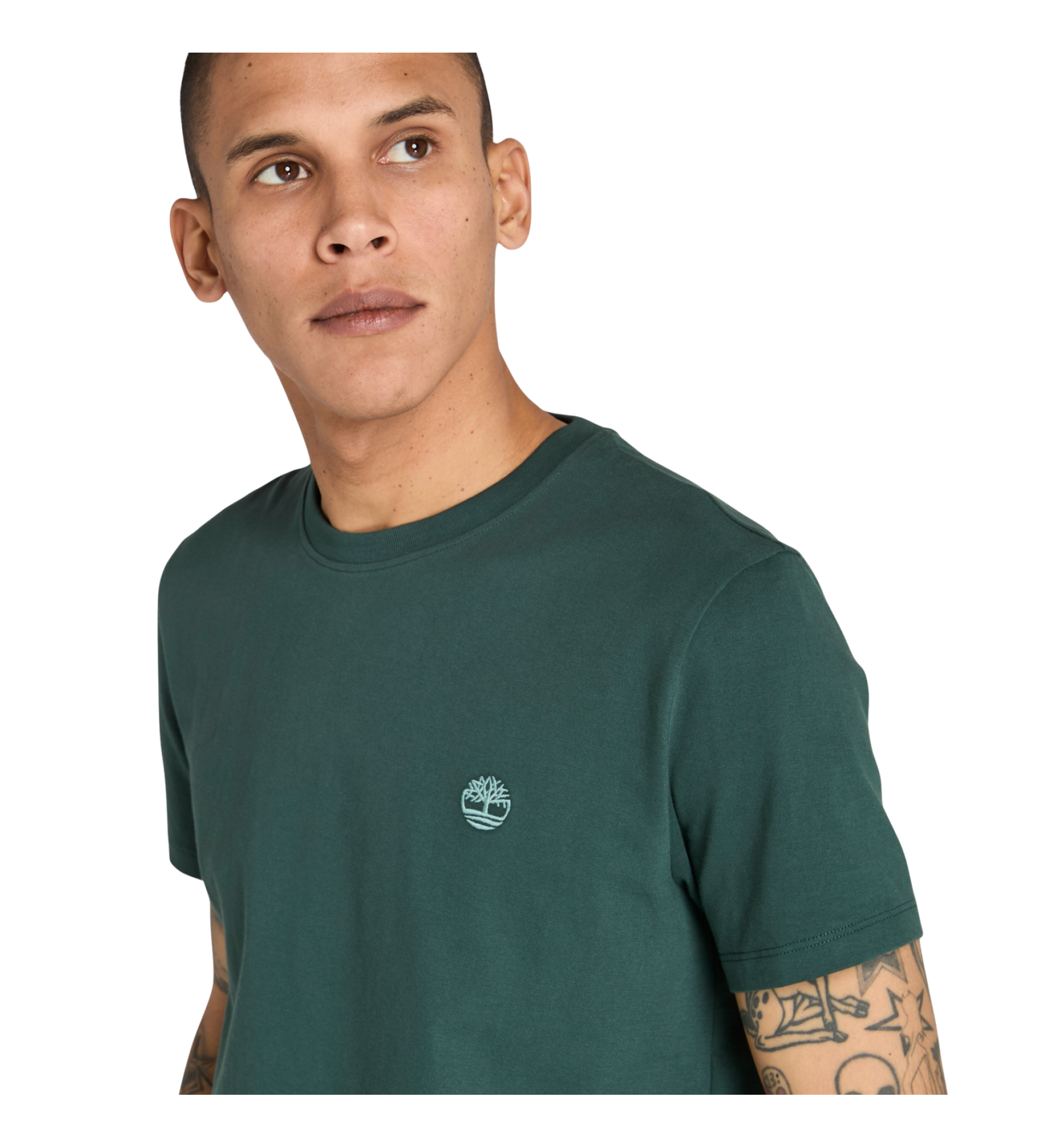 Timberland T-shirt Dunstan River vert