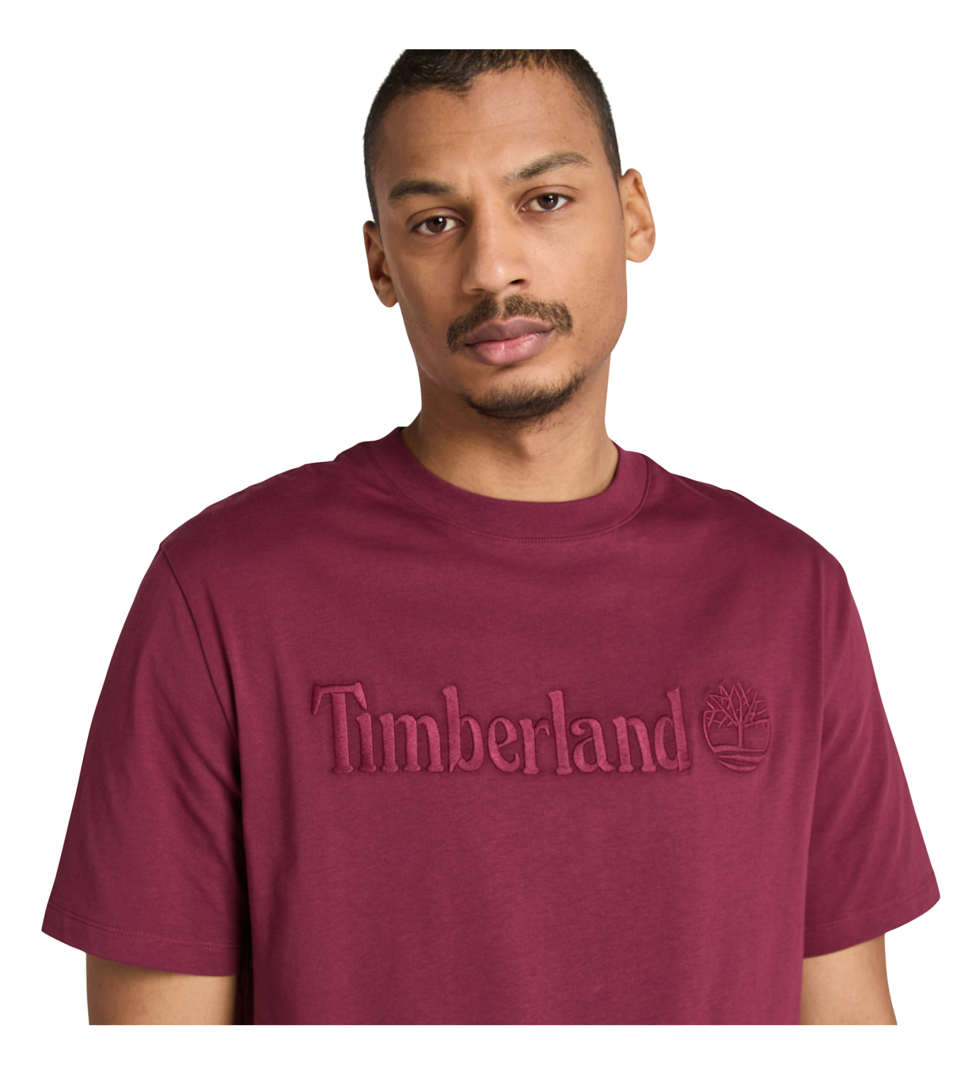 Timberland Hampthon T-shirt bordeaux