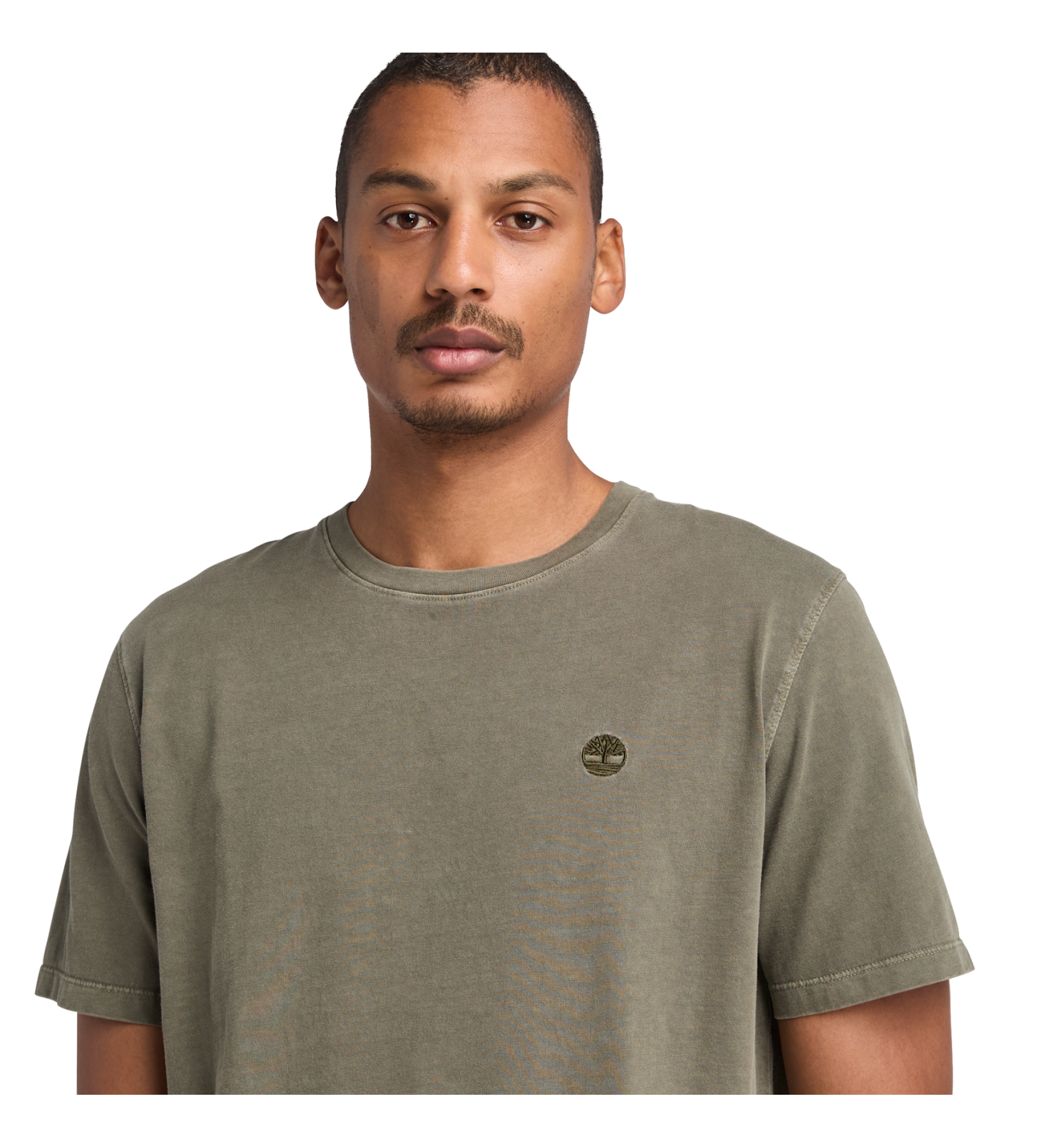 Timberland T-shirt Dunstan River vert