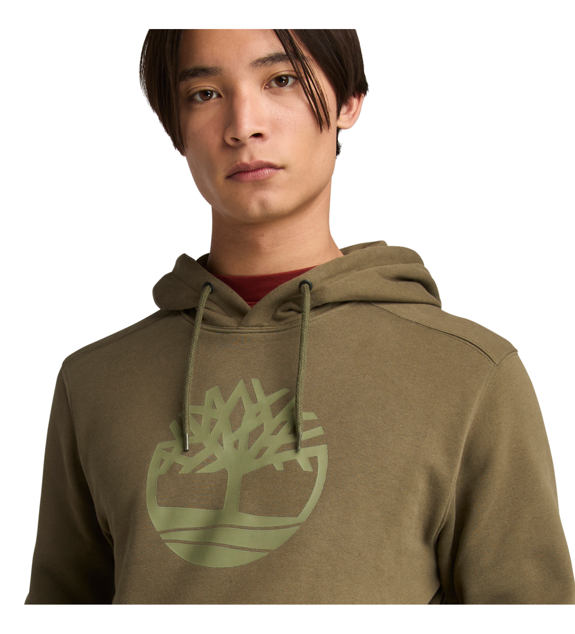 Timberland Logo de la rivire Kennebec - Sweat  capuche en forme d'arbre - vert