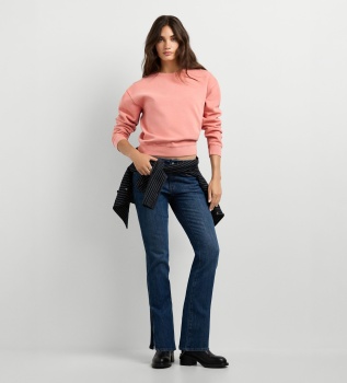 Sweat Balu rose