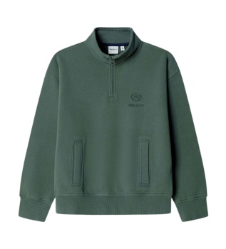 Sweatshirt Dustine grün