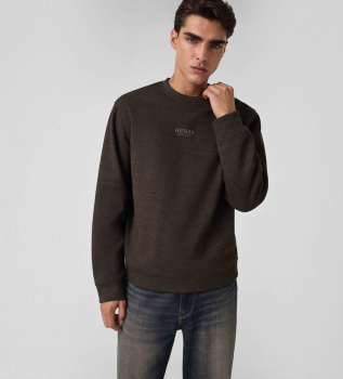 Classic brown sweatshirt