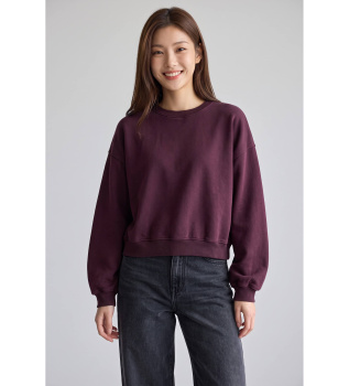 Sweatshirt Fancy62 bordeaux