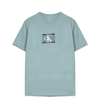 T-shirt 30s Box Graphic bleu vert 