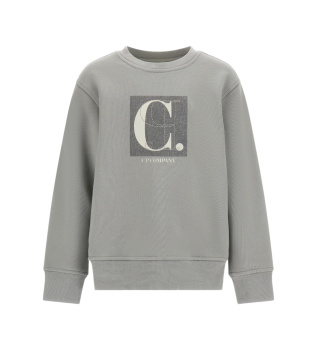 Sweatshirt mit Logo, grau