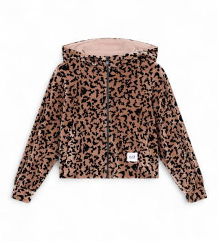 Train Graphic Series Fancy Brownie Sweatshirt