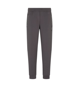 Train Premium Shield Pants grey