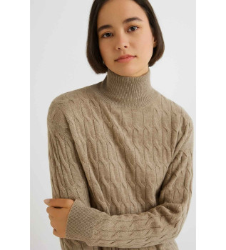 Pull  col roul en cachemire Aereo marron