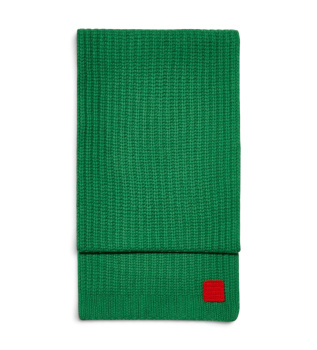 Baccano pure wool scarf in green