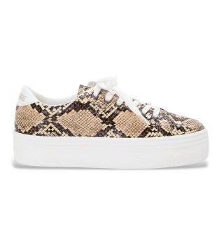 Trainers Plato brown
