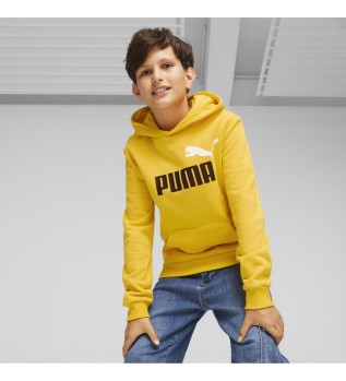 Sudadera Puma Casual Essentials+ Two-Tone Big Logo Hombre
