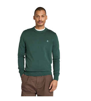 Maglione di cotone verde Williams River