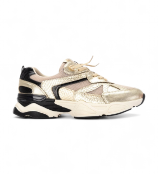 Trenerzy 144653 złoty