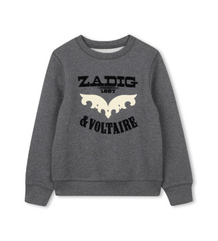 Sweat-shirt gris Voltaire