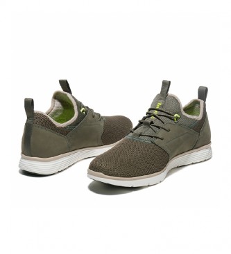 Timberland Killington F/L Sock FitOx sapatos de couro verde