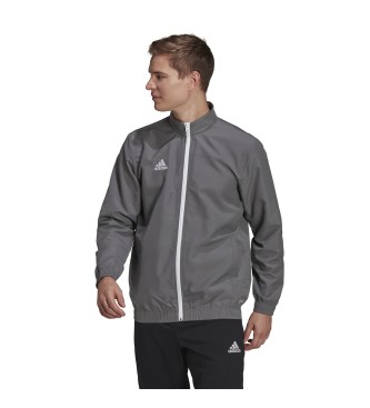 adidas Presentation jacket Entrada 22 gray