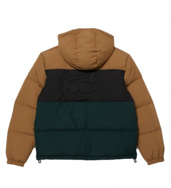 Lacoste Hooded quilted jacket Brown, Black, Green