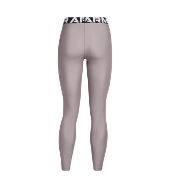 Under Armour Hlačne nogavice HeatGear Legging sive barve