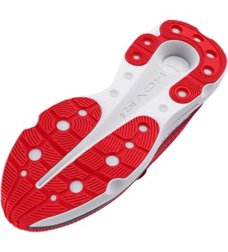 Under Armour UA Infinite Pro Shoes Red