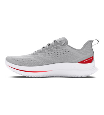 Under Armour Chaussures UA Velociti 4 grises