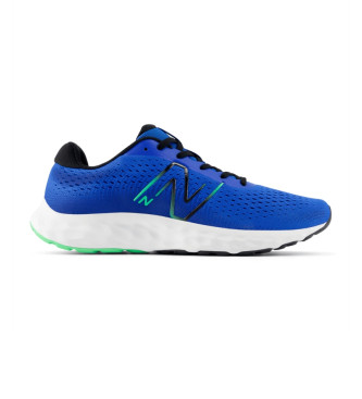 New Balance Skor 520 V8 bl