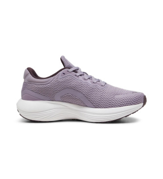 Puma Laufschuhe Scend Pro flieder