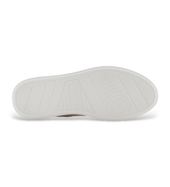Armani Exchange Trainers Engels wit
