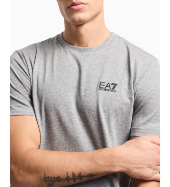 EA7 Core Identity T-Shirt aus Pima-Baumwolle grau