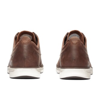 Timberland Zapatillas de piel de ca�a baja con cordones Bradstreet marr�n