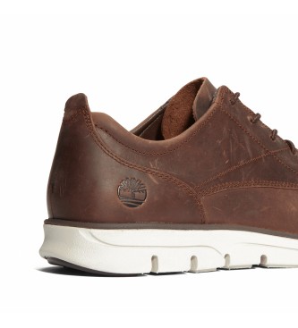 Timberland Zapatillas de piel de ca�a baja con cordones Bradstreet marr�n