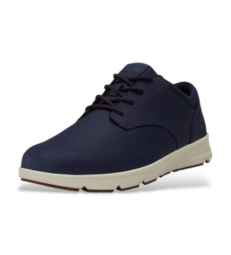 Timberland Sneaker Parker Street blu