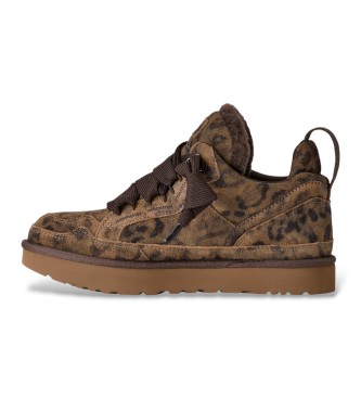 UGG Sneakers in Pelle Lowmel Spotted marrone