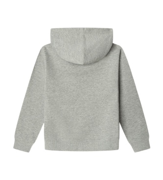 Pepe Jeans Kapuzensweatshirt Artie grau