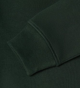 Pepe Jeans Kapuzensweatshirt Artie grün