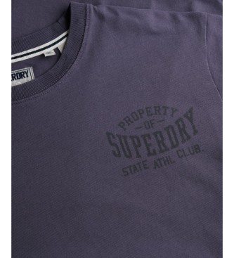 Superdry Vintage Athletic Essential Graphic T-Shirt Gray