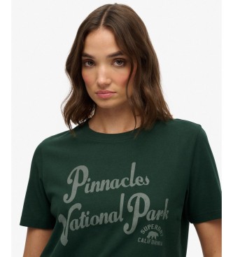 Superdry Camiseta Lofi Outdoors Relaxed verde