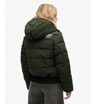 Superdry Bomberjacke Everest grün