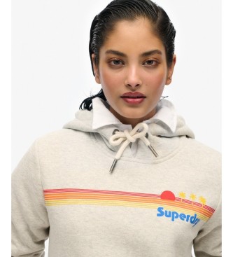 Superdry Grå hættetrøje med regnbuestriber