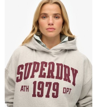 Superdry Sweat à capuche ESS Relaxed gris