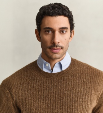 Gant Trui met ronde hals, wolmix met alpaca, bruin