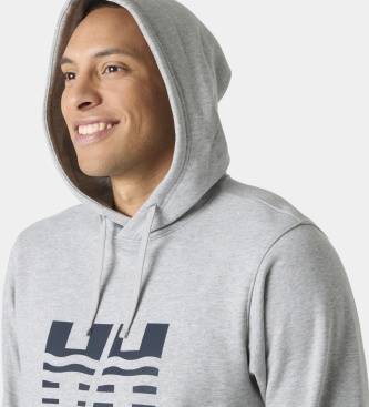 Helly Hansen Sweat à capuche Core Graphic gris