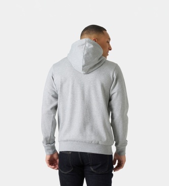 Helly Hansen Sweat à capuche Core Graphic gris